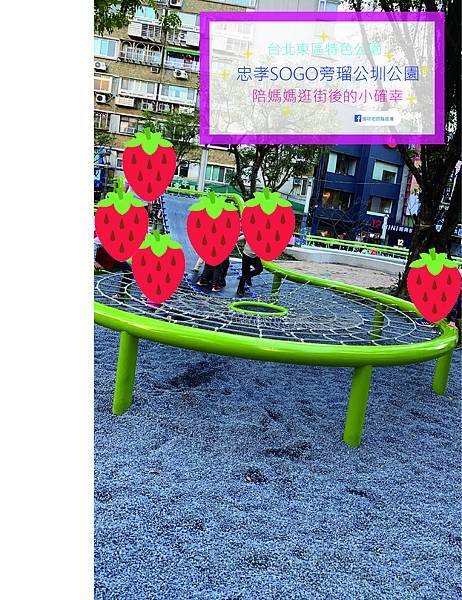 1612305455 4035087001 g n